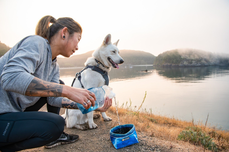Springhare Harnesses RuffWear Front Range Harness Spring Mountains | Widforss