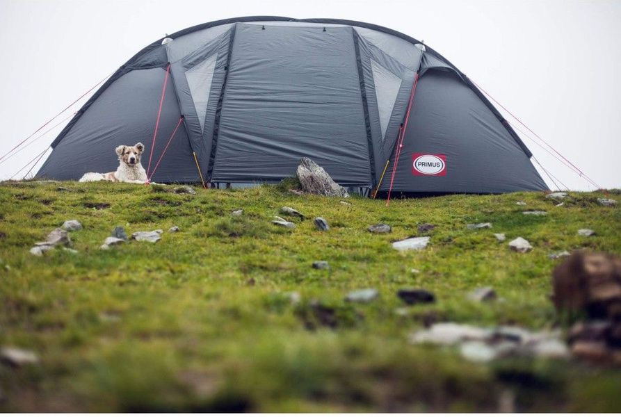 Primus Bifrost H4 4P-telt | Widforss