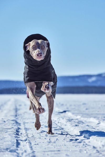 Our @hurttacollection Extreme Warmer III Eco Coat Was The Perfect Choice For Toda