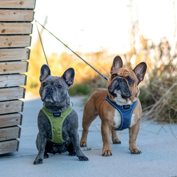 DOG Copenhagen DOG Copenhagen Comfort Walk Go Harness M Desert Dune ...