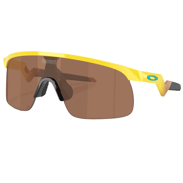 Oakley Resistor Prizm