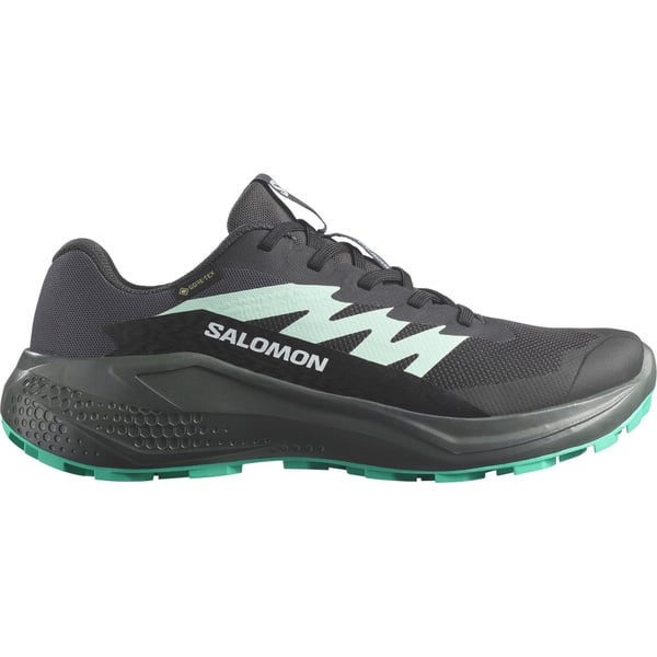 Salomon Alphaglide GTX Phantomurban dame