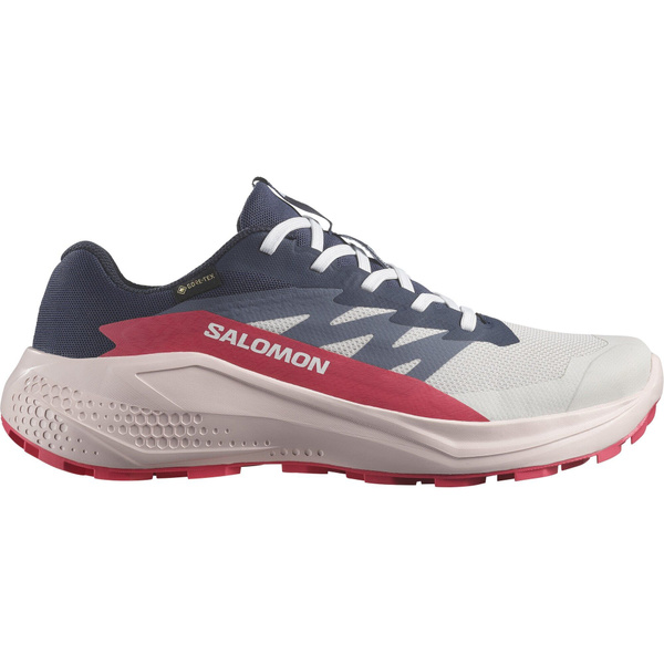 Salomon Alphaglide GTX