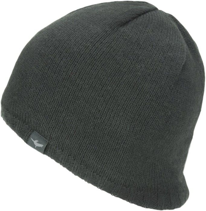 Sealskinz Waterproof Cold Weather Beanie Black