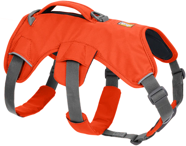 RuffWear Web Master Harness Blaze Orange