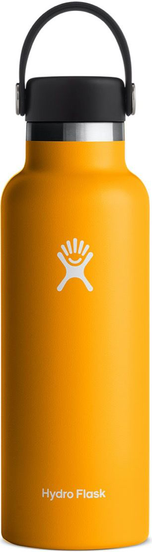 Hydro Flask Insulated Standard Mouth Flex 18oz (532ml) Starfish