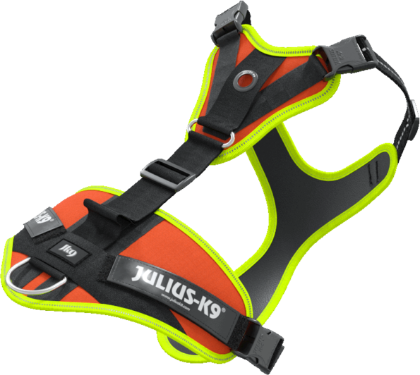 Julius K9 Mantrailing Sele valjaat, M-XL, oranssi
