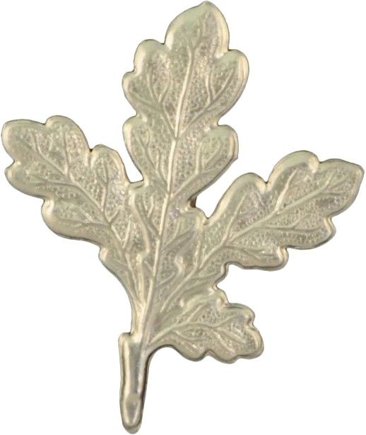 Grey Oak -trofeekoriste, tammenlehti