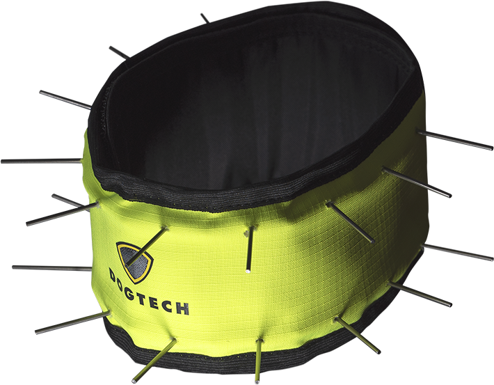 DogTech Neck 2022
