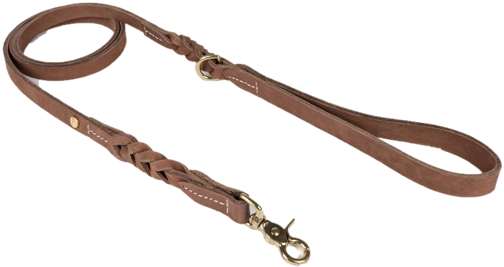 Denjo Dogs Stockholm Citykoppel 155 cm Hazel S