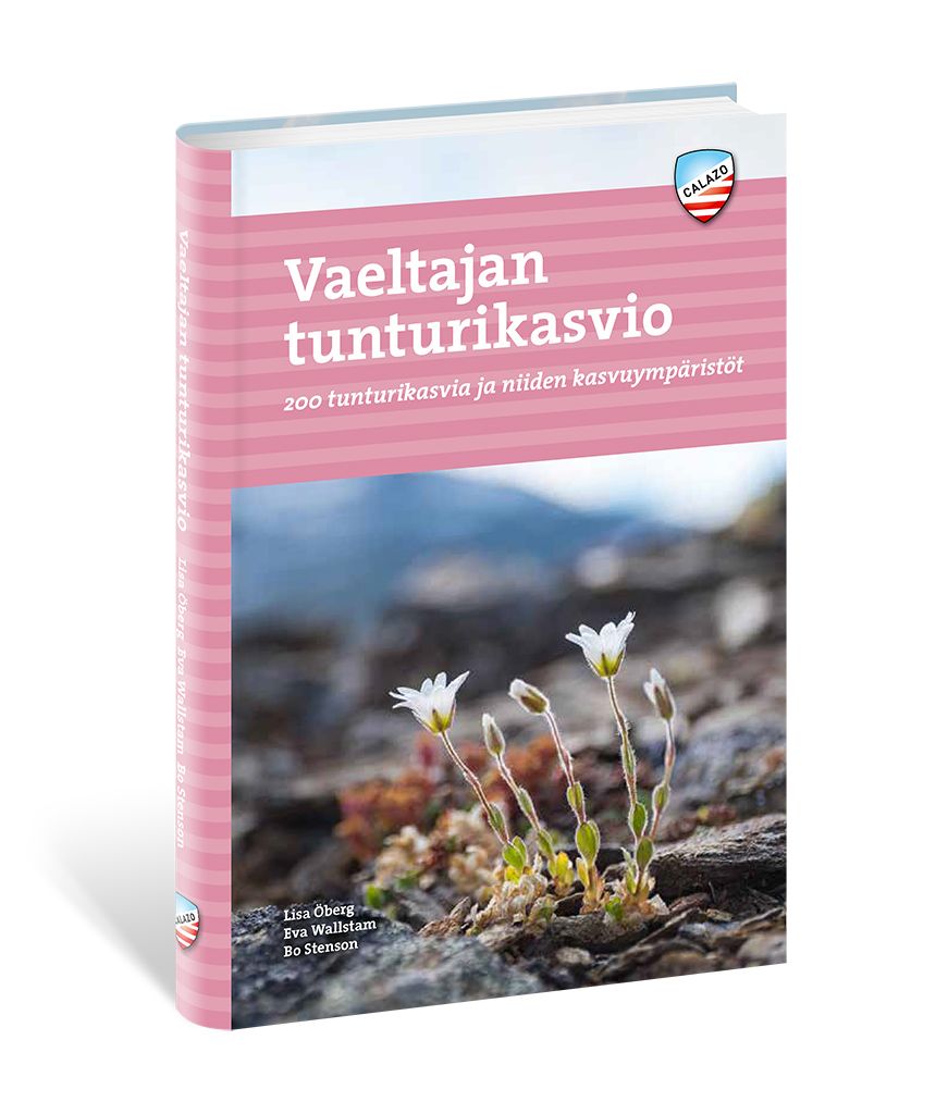 Calazo Vaeltajan tunturikasvio