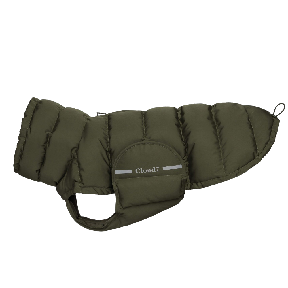 Cloud7 Dog Coat Alaska size 3-5 Olive