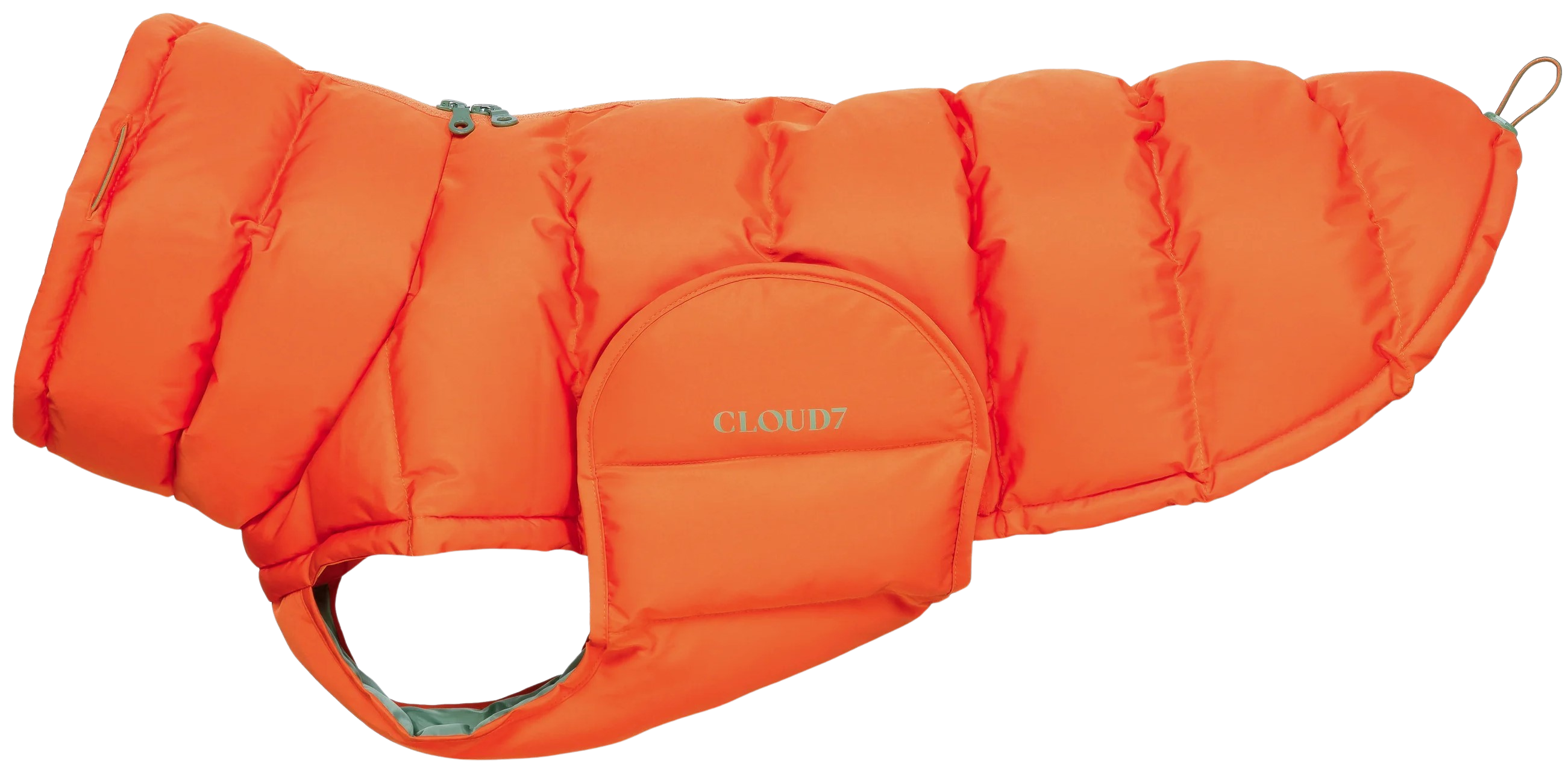 Cloud7 Dog Coat Alaska size 6-9
