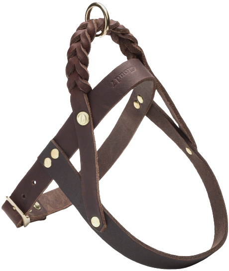 Cloud7 Harness Central Park XL Saddle Brown Gold