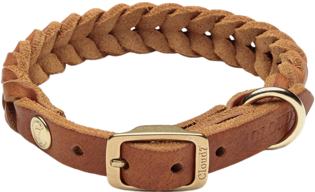 Cloud7 Collar Central Park L-XXL Camel Gold