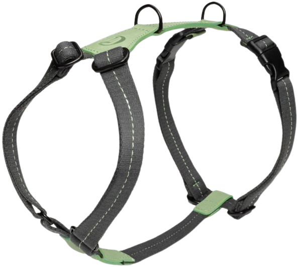 Cloud7 Harness M-L Madeira Mint