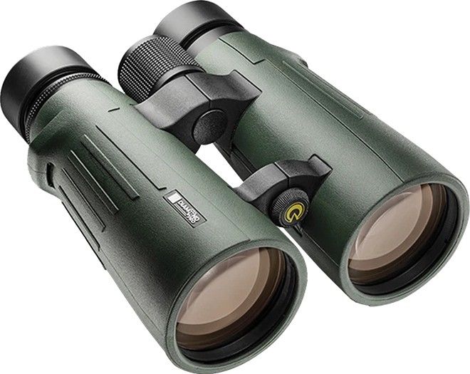 Burrel Diamond Pro 8x56 ED -katselukiikarit