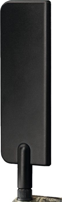Burrel 4G trail camera antenna