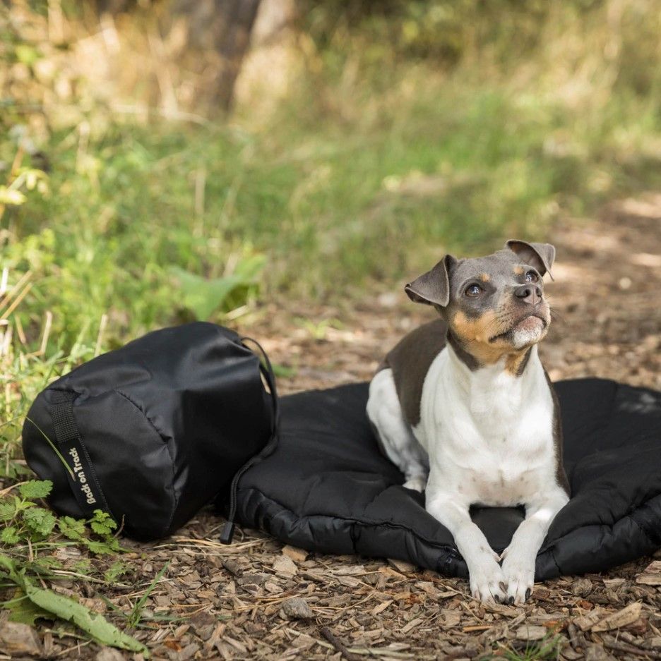 Back on Track Back on Track ovaali koiran matkapeti, musta 80 x 100 cm