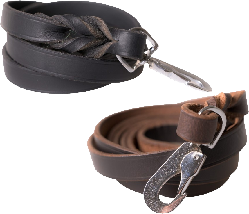 Active Canis Leather Leash nahkahihna, 1,8 x 180 cm