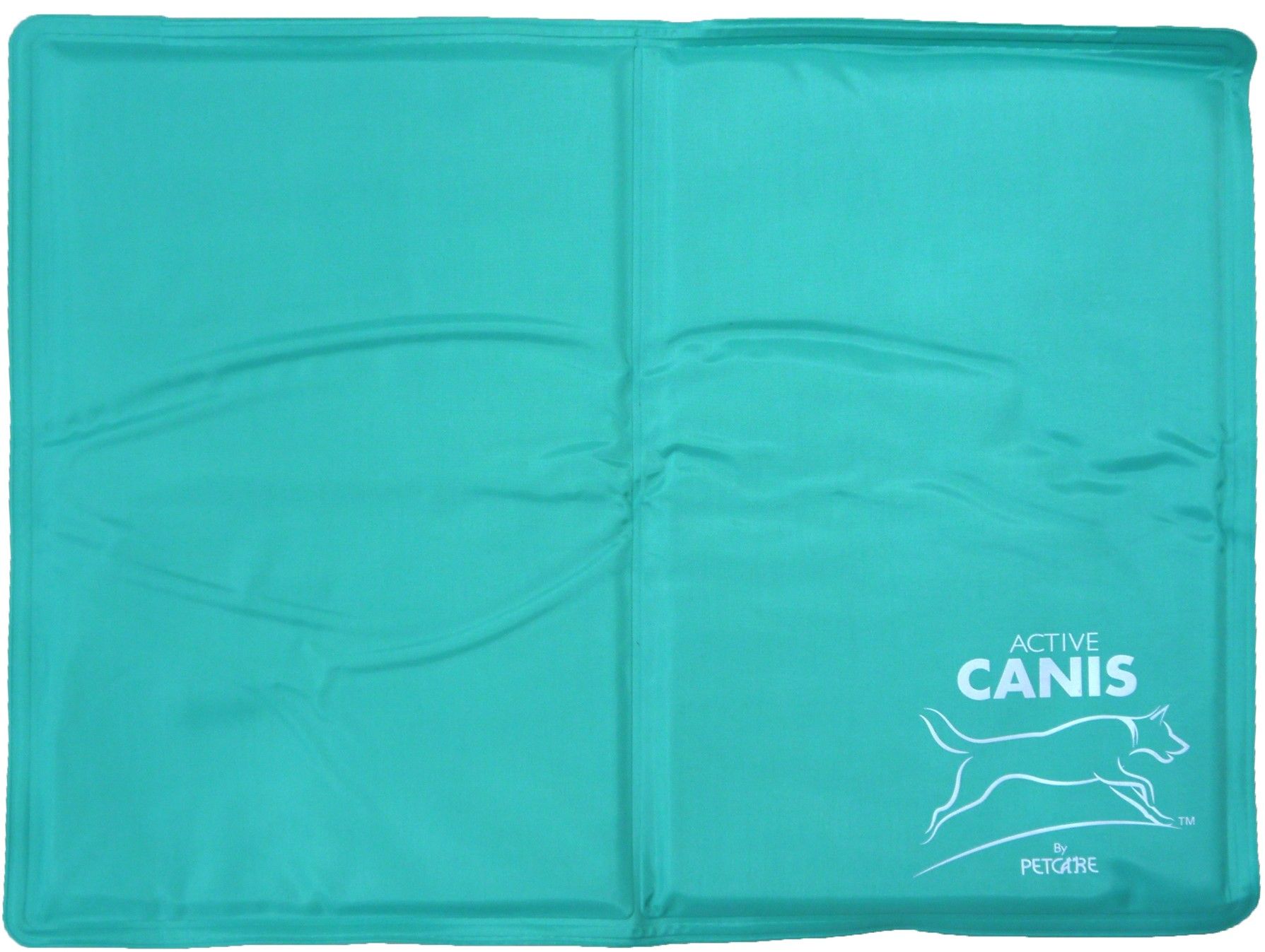 Active Canis Kyldyna 40x50 cm Turkos
