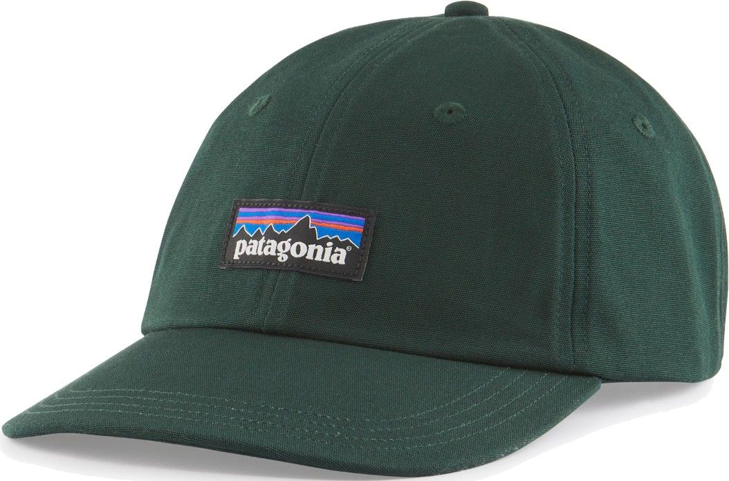Patagonia P-6 Label Trad Cap Northern Green