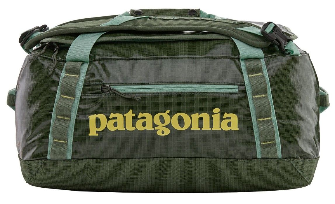 Patagonia Black Hole Duffel 40L Camp Green