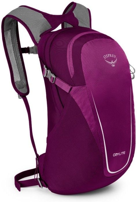 Osprey Daylite Eggplant Purple
