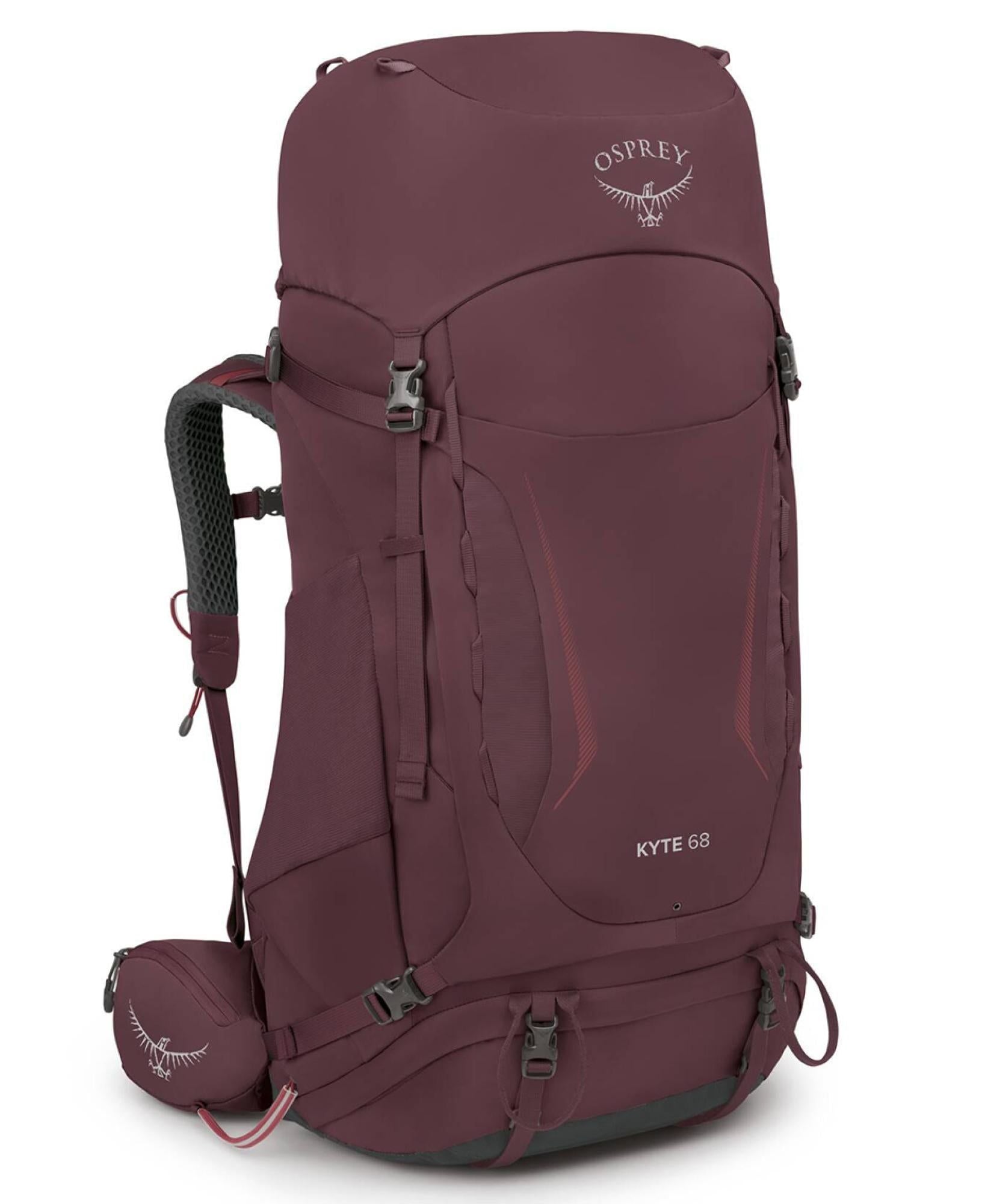 Elderberry Purple