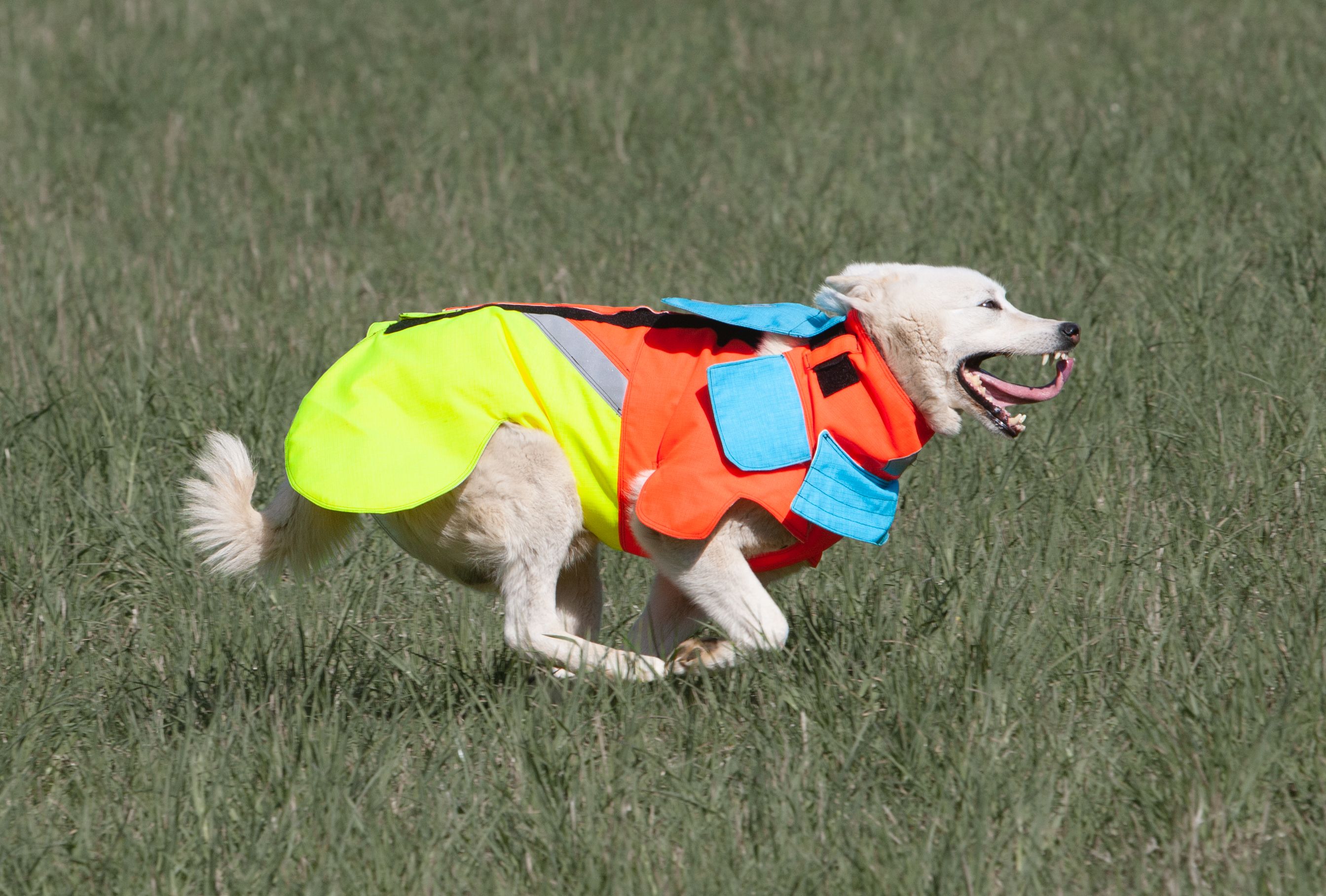 Mikael Tham Tuskproof Boar v.5 suojaliivi, L, Orange