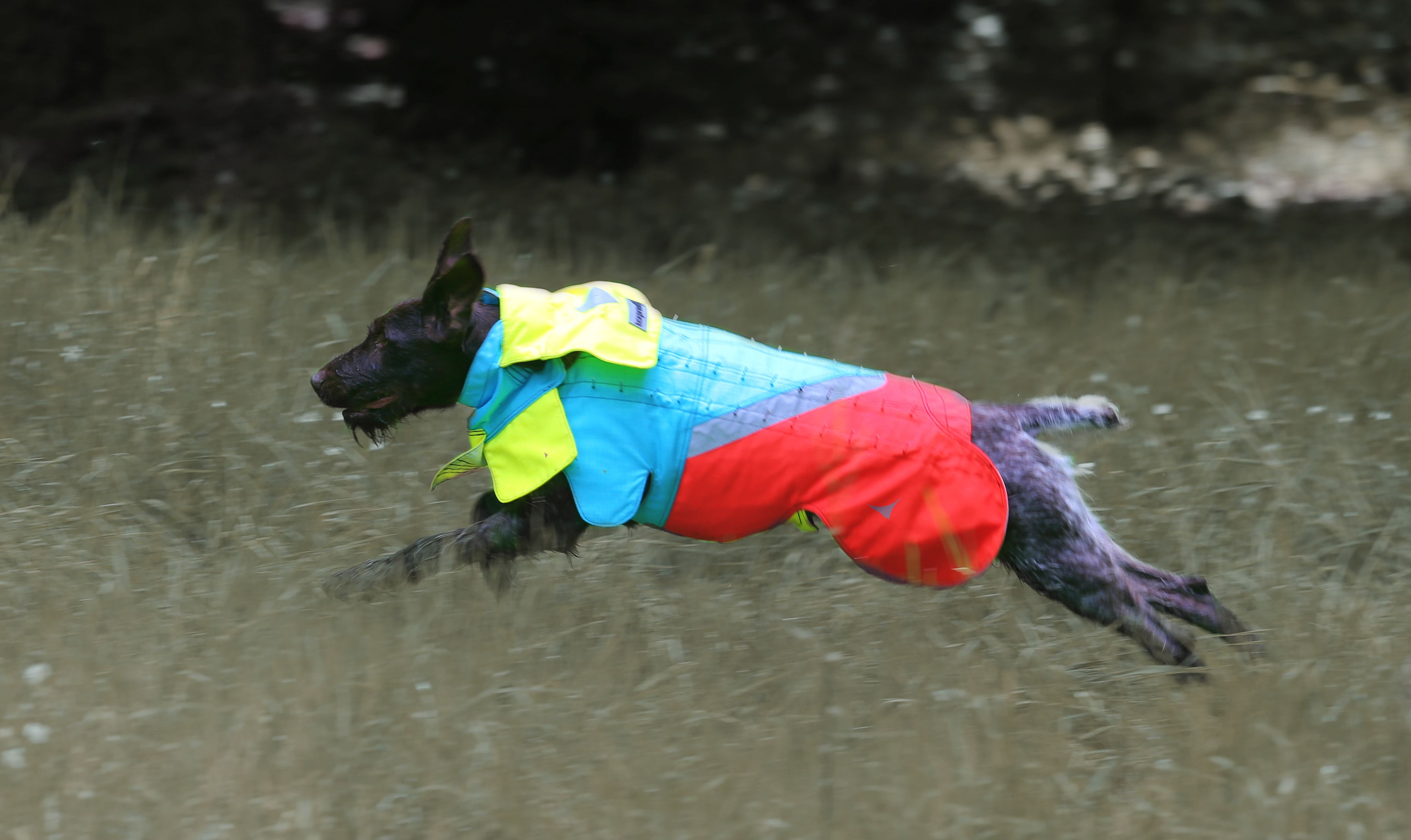 Mikael Tham Tuskproof Wolf v.5 suojaliivi, L, Orange