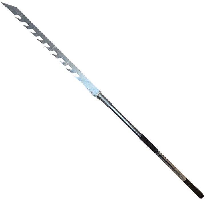 IFISH Issåg