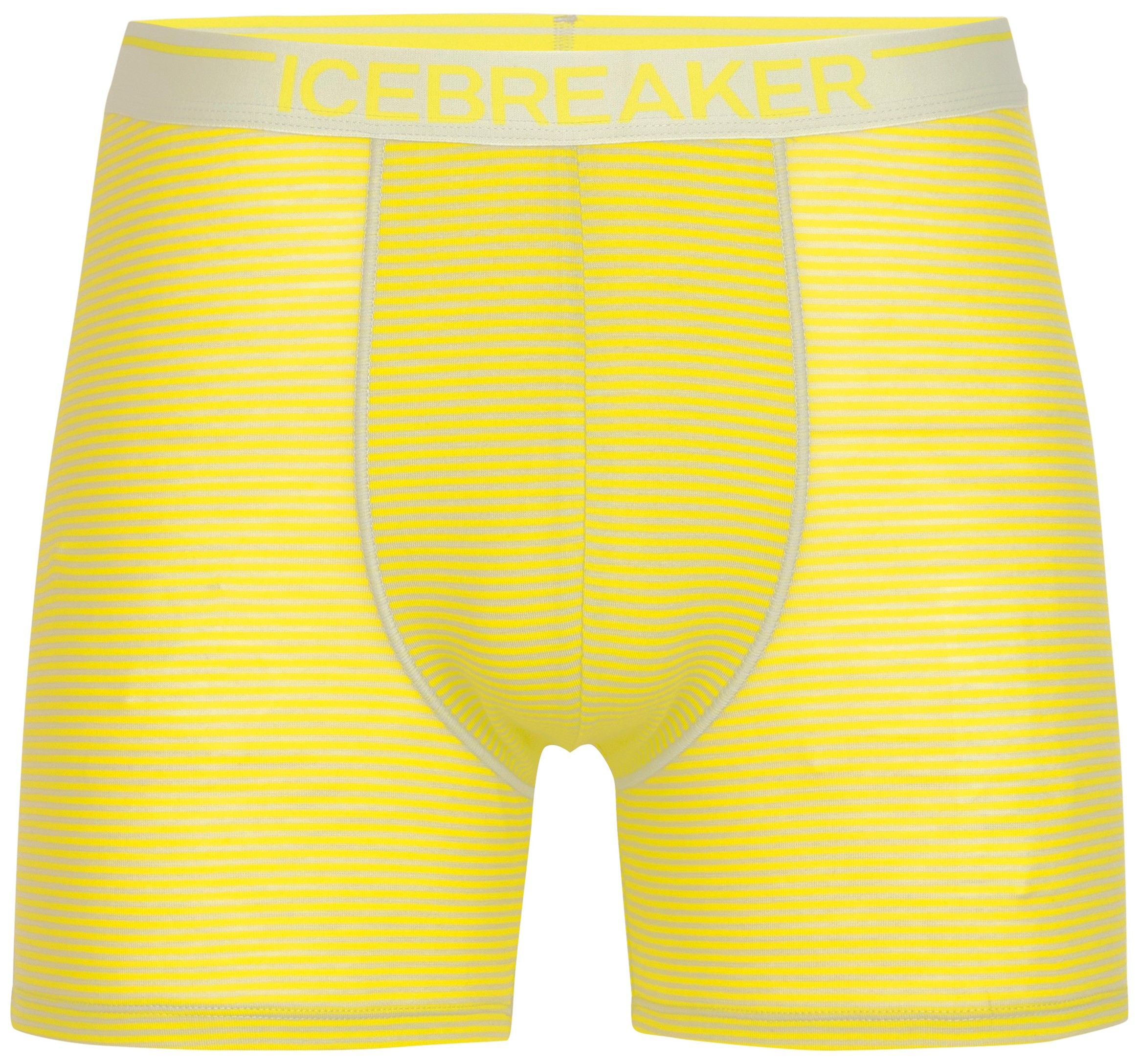 Icebreaker M's Anatomica Boxers Ether/Shine/S