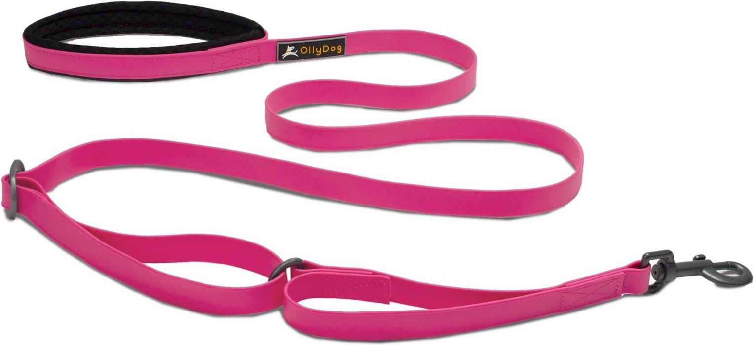 OllyDog Tilden Leash Pink
