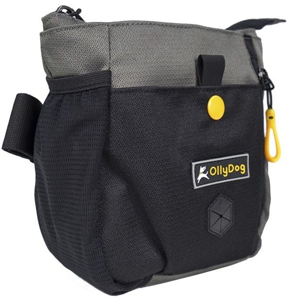 OllyDog Backcountry Day Bag Flint