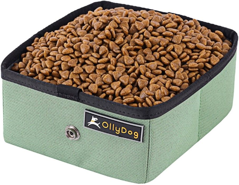OllyDog Crumple Travel Bowl Jaden