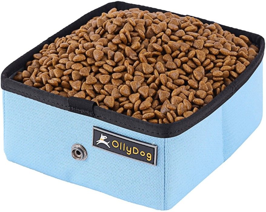 OllyDog OllyDog Crumple -koiranruokakuppi, sininen