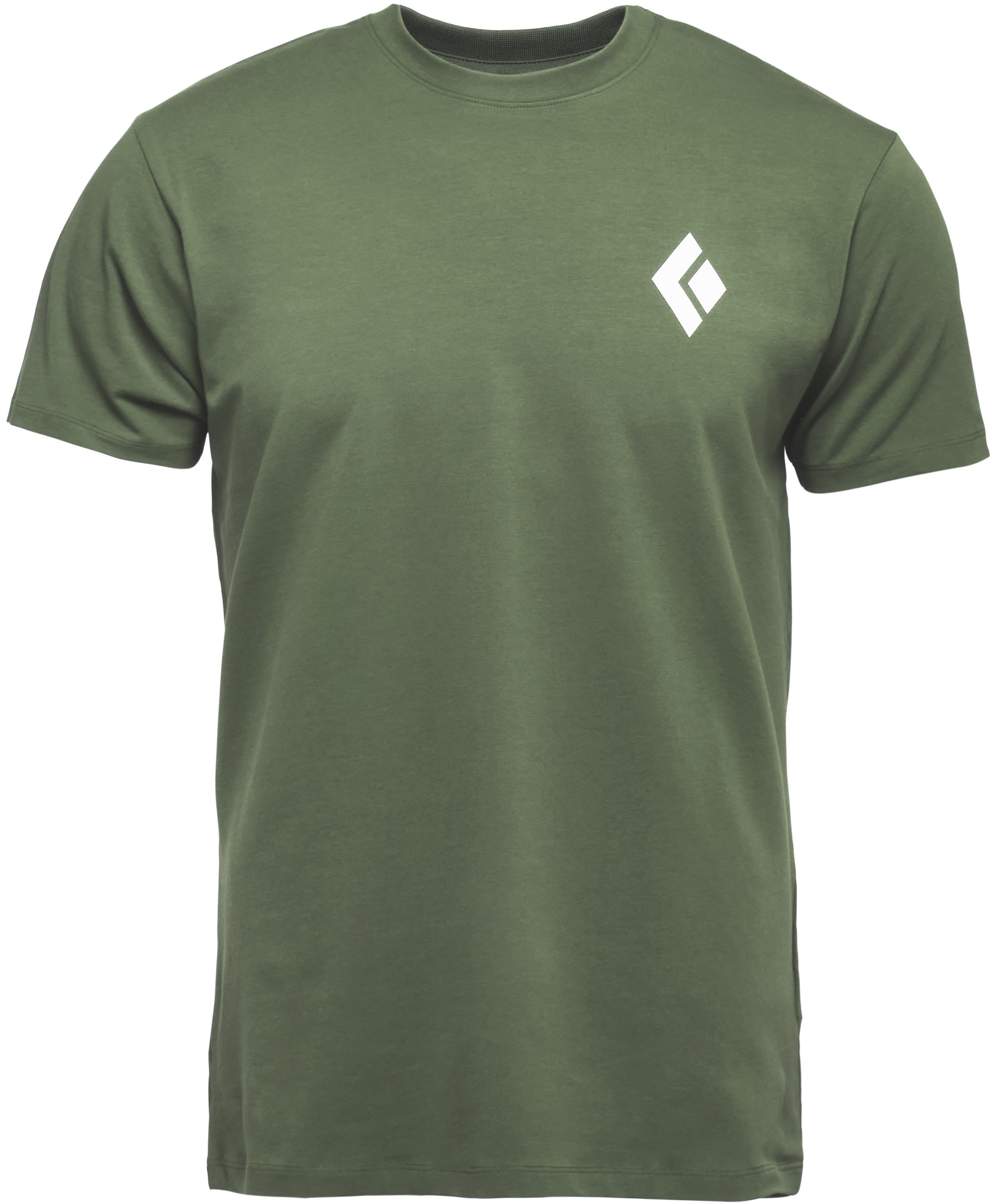 Black Diamond M Equipment For Alpinist SS Tee t-paita, vihreä