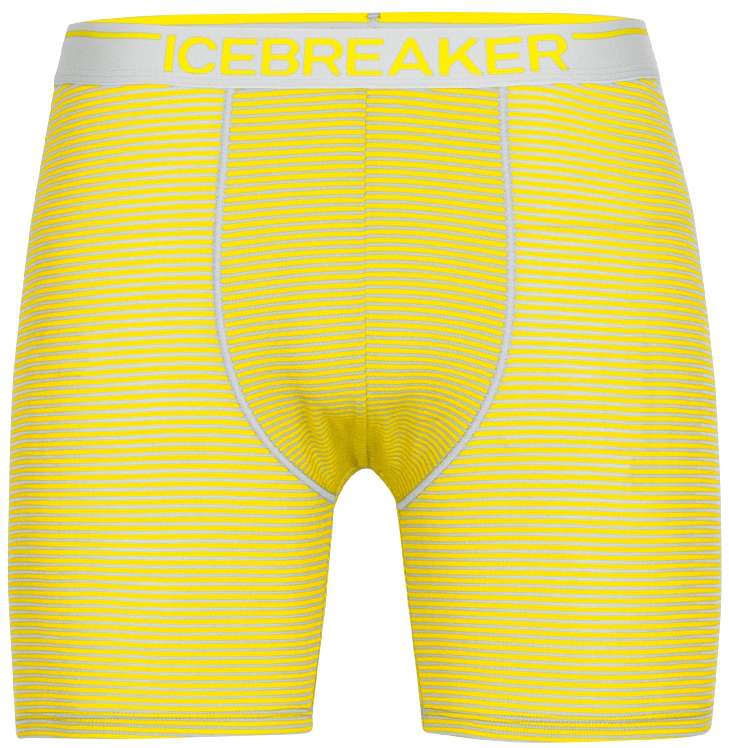 Icebreaker M's Anatomica Long Boxers ther/Shine/S