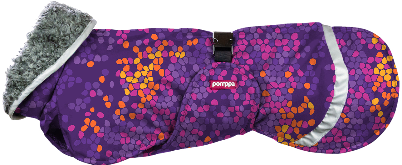 Pomppa Perus 60-65 cm Cosmos