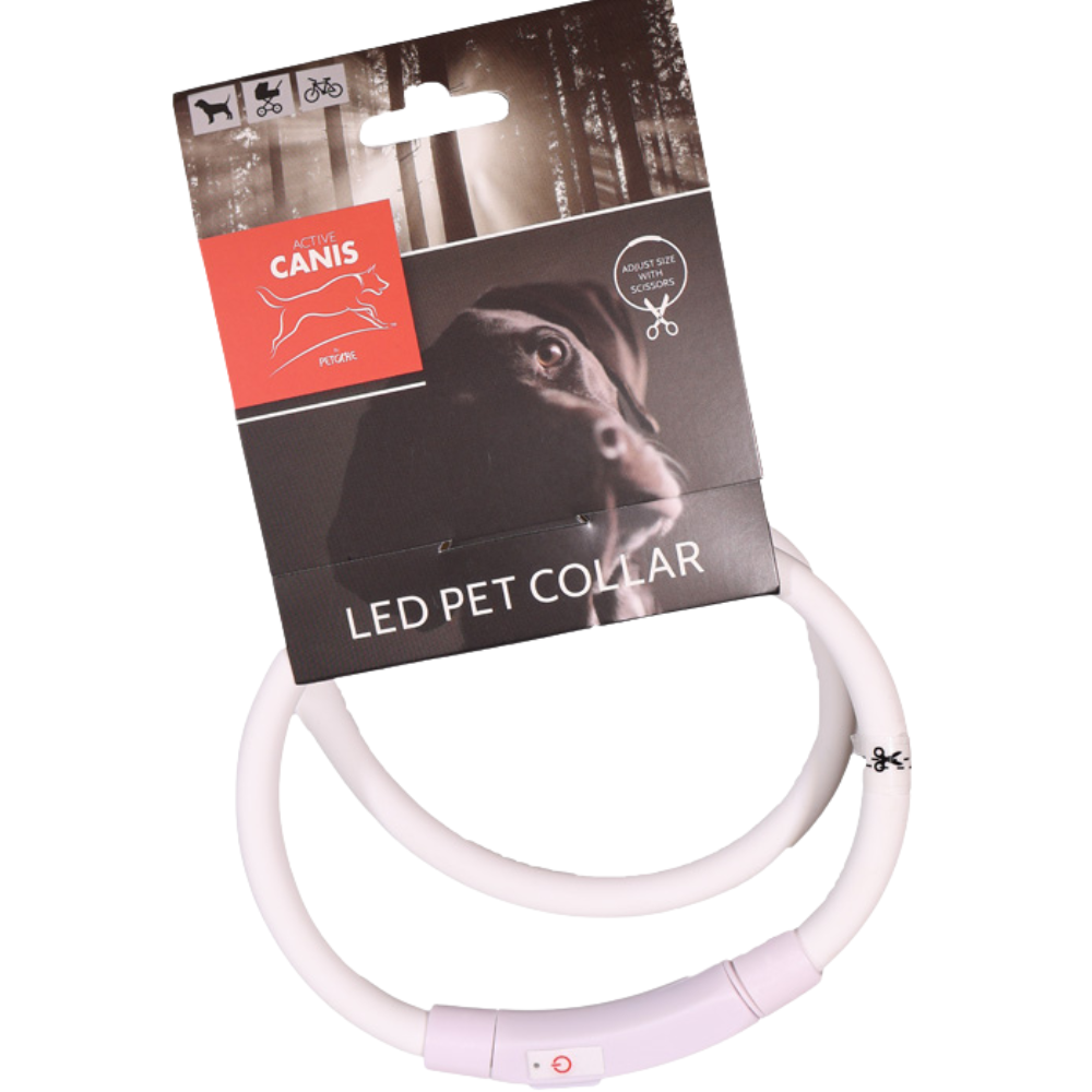 Active Canis USB Led Collar White