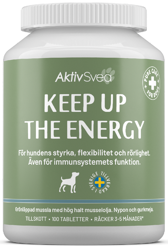 AktivSvea Keep Up the Energy 100 tabletter