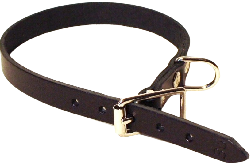 Alac Halsband Läder Svart 18 mm x 45 cm