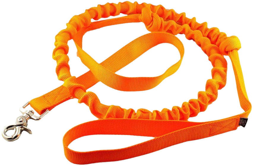 Alac Proffs joustohihna pikakiinnikkeellä, 2,5X240cm, Orange