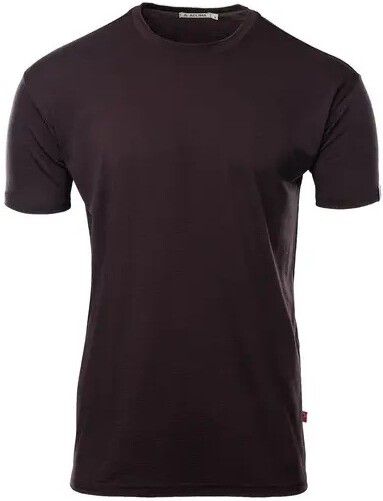 Aclima LightWool 180 Classic Tee M's Chocolate Plum
