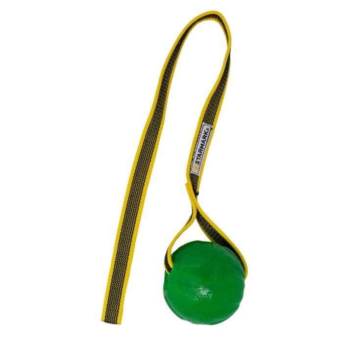 Starmark Gripcord Chew Ball Long M