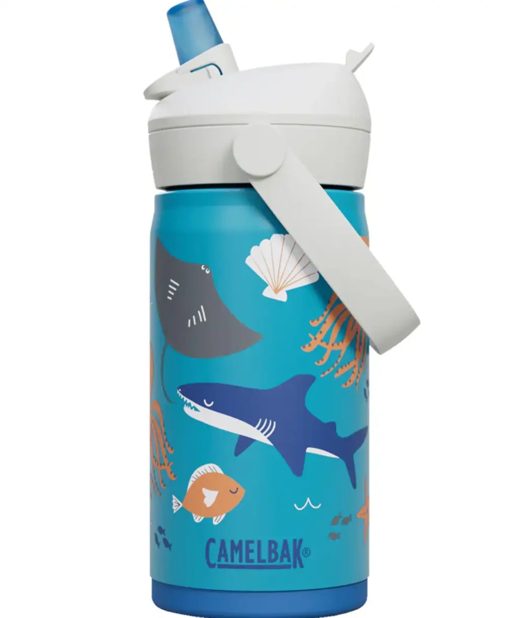 Ocean life