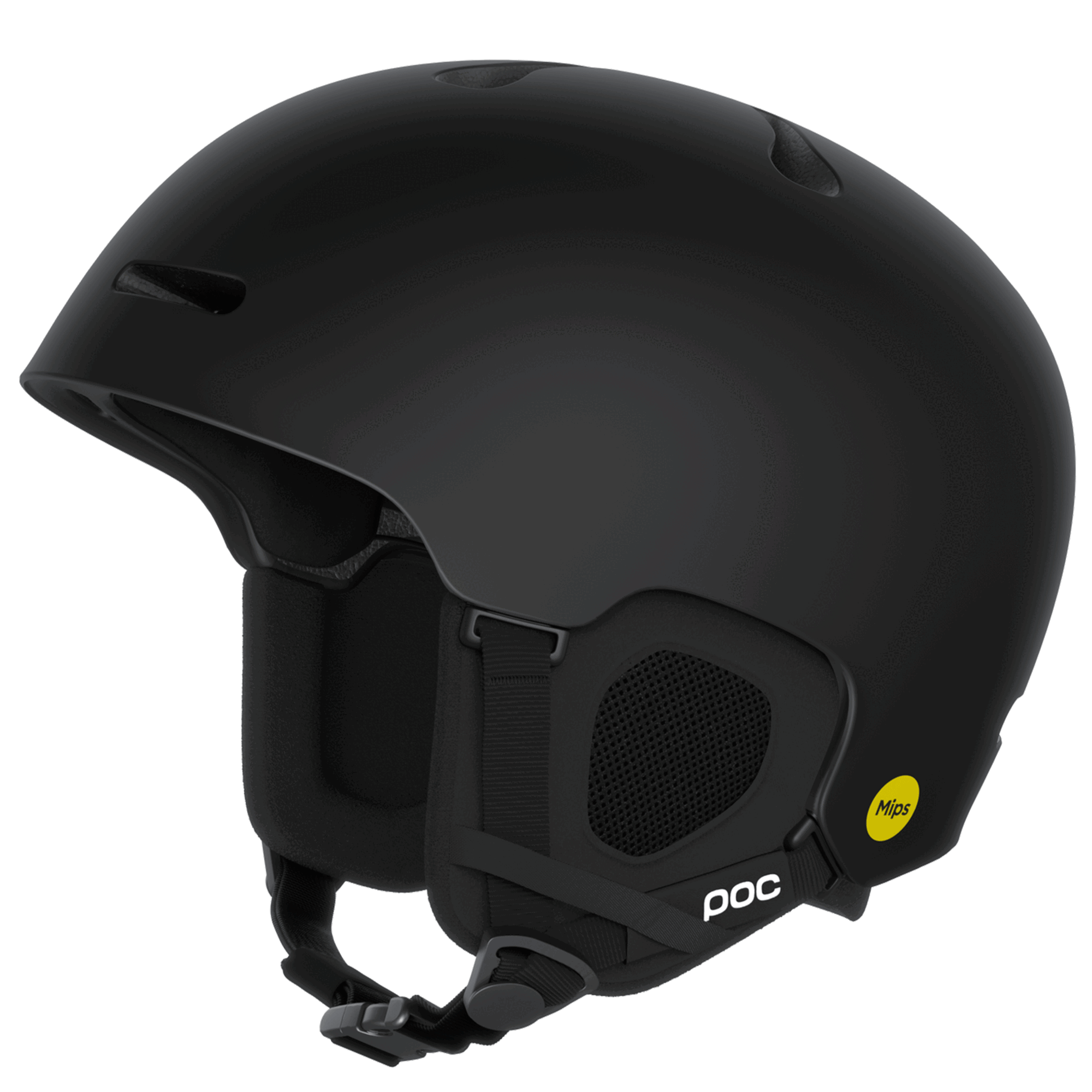 POC Fornix MIPS