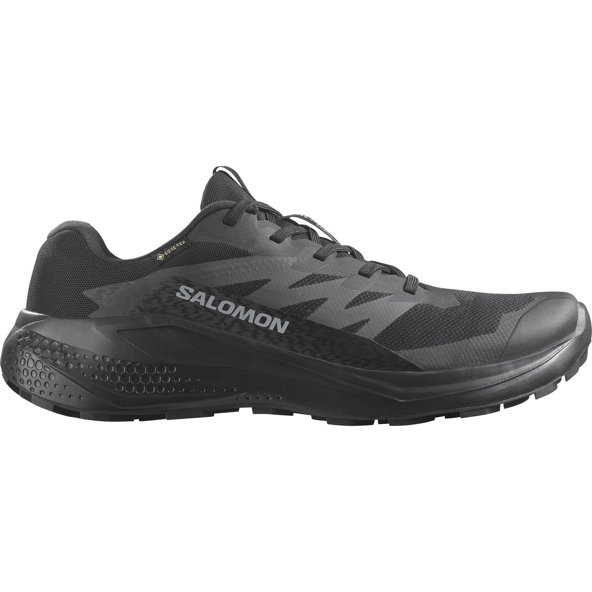Salomon Alphaglide GTX Black