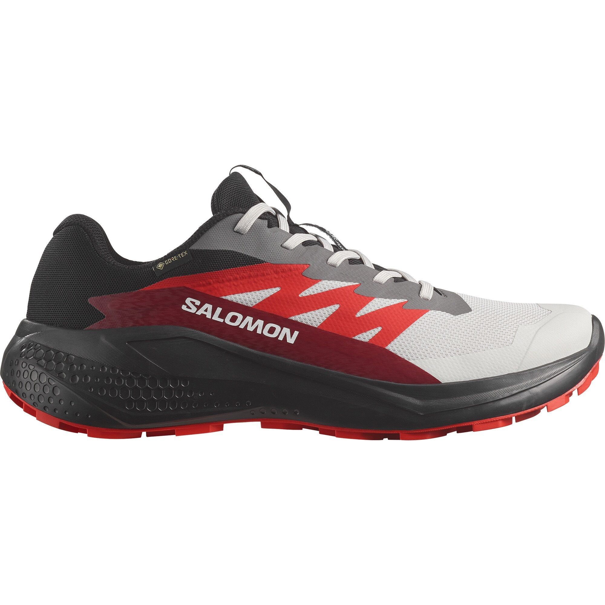 Salomon Alphaglide GTX Lunar Rock/Black/Biking Red